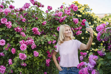 Lächelnde Frau, die ein Selfie vor Rosenpflanzen mit einer Hand in der Tasche durch das Mobiltelefon macht - SVKF00230