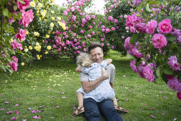 Vater umarmt Tochter im Gras sitzend im Rosengarten - SVKF00242