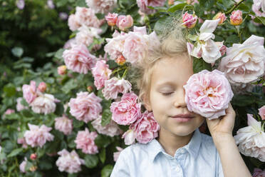 Mädchen hält Rosenblüte vor dem Auge im Rosengarten - SVKF00247