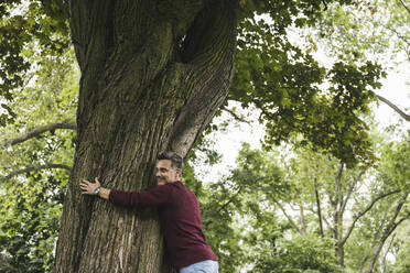 Lächelnder Mann, der einen Baum im Park umarmt - UUF26255