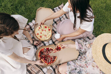 Women with pizza sitting on picnic blanket at park - OMIF00880