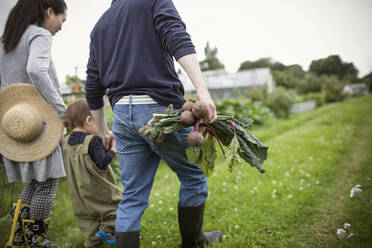 Familie erntet Gemüse und geht im Garten spazieren - CAIF32760