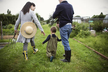 Parents and toddler son walking in vegetable garden - CAIF32762