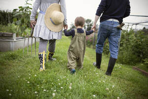 Familie, die sich an den Händen hält und im Gartengras spazieren geht - CAIF32769