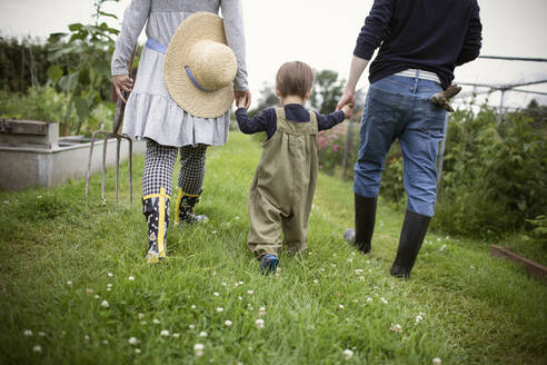 Familie, die sich an den Händen hält und im Gartengras spazieren geht - CAIF32769