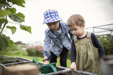 Neugierige Brüder mit Gießkanne im Garten - CAIF32772