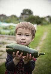 Portrait süßer Junge hält Zucchini im Garten - CAIF32782