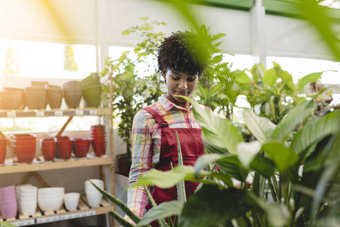 Young gardener standing by plants in nursery - JCCMF06417