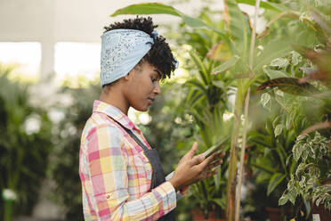 Gardener wearing bandana using tablet PC working with plants at nursery - JCCMF06435