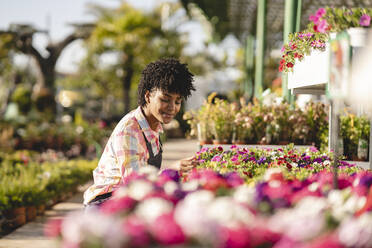 Florist prüft Blumen in der Gärtnerei an einem sonnigen Tag - JCCMF06444