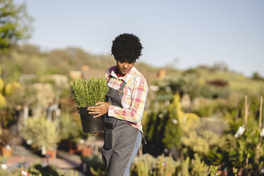 Junge Gärtnerin hält Topfpflanze in der Gärtnerei an einem sonnigen Tag - JCCMF06449
