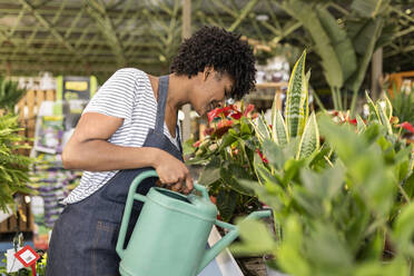 Smiling owner watering plants at nursery - JCCMF06456