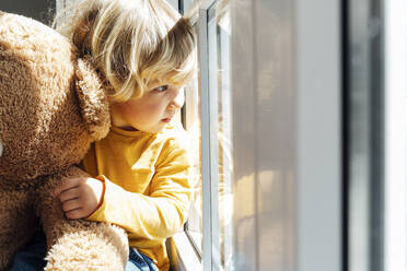 Junge mit Plüschtier schaut durch das Fenster zu Hause - VPIF06255