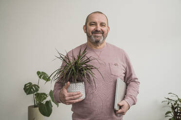 Lächelnder Geschäftsmann mit Drachenbaum und Laptop im Büro - OSF00029