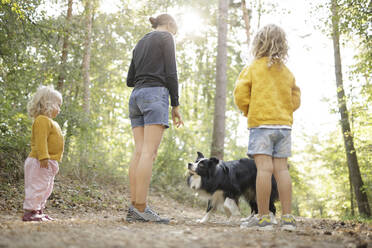 Mutter geht mit Töchtern und Hund im Wald spazieren - DWF00573