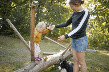 Mädchen, das die Hand seiner Mutter hält, spielt auf einem umgestürzten Baum neben einem Hund im Wald - DWF00578