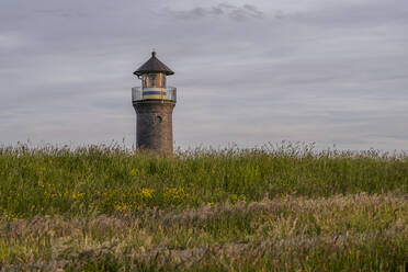 Germany, Lower Saxony, Juist, Reeds growing in front of Memmertfeuer lighthouse - KEBF02351