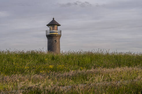 Deutschland, Niedersachsen, Juist, Schilf vor dem Leuchtturm Memmertfeuer - KEBF02351