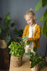 Smiling girl spraying potted plant in living room at home - SVKF00271