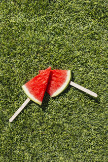 Wassermelonenscheibe mit Eiszapfen auf Gras - EGHF00448