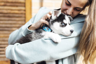 Young woman stroking husky puppy - EGHF00451