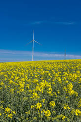 Windkraftanlage auf dem Feld an einem sonnigen Tag - MHF00593