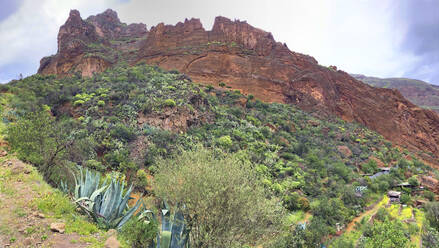 Spanien, Provinz Las Palmas, Panoramablick auf die Schlucht von Guayadeque im Sommer - BSCF00657