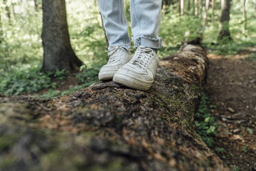 Woman standing on fallen tree trunk in forest - VPIF06523