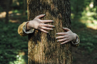 Die Hände einer Frau umarmen einen Baum im Wald - VPIF06525