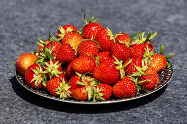 Teller mit frisch gepflückten Erdbeeren - NDF01464