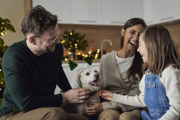 Glückliche Familie mit Hund genießt die Weihnachtszeit zu Hause - ABIF01734