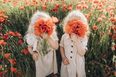 Girl with sister hiding face with flower in poppy field - SIF00170