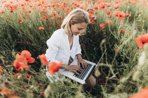 Lächelnde Frau mit Laptop in einem Mohnfeld - SIF00209