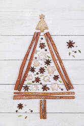 Studioaufnahme einer Weihnachtsbaumform aus verschiedenen Gewürzen und Keksen - GWF07451