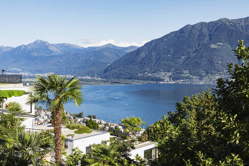Schweiz, Tessin, Locarno, Blick auf den Lago Maggiore im Sommer mit Häusern im Vordergrund und Bergen im Hintergrund - GWF07460