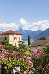 Schweiz, Tessin, Locarno, Historische Villa mit blühenden Sträuchern im Vordergrund und Bergen im Hintergrund - GWF07462