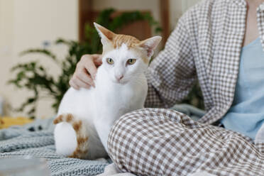 Frau sitzt mit Hauskatze zu Hause - TYF00282