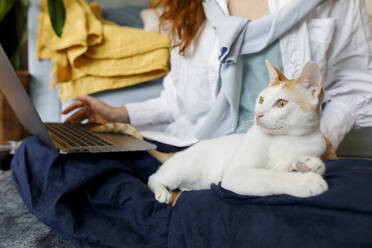 Geschäftsfrau mit Laptop und Katze auf dem Schoß im Heimbüro - TYF00316
