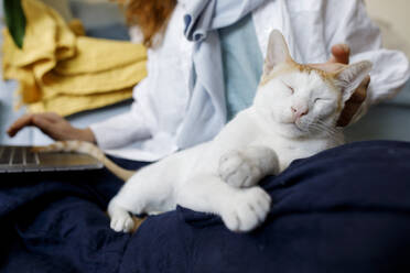 Freiberufler mit Laptop und streichelnder Katze, die zu Hause auf dem Schoß sitzt - TYF00317