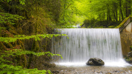 Langzeitbelichtung eines Wasserfalls im Wald - MHF00601