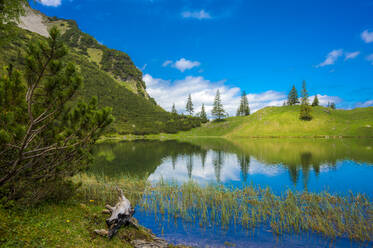 Germany, Bavaria, Shore of Unterer Gaisalpsee lake in summer - MHF00609