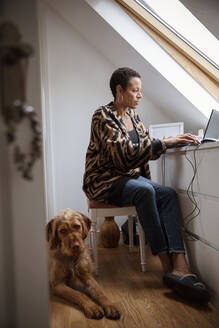 Hund liegt neben einer Frau, die von zu Hause aus am Laptop arbeitet - CAIF32918