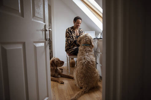 Hunde beobachten Frau, die von zu Hause aus in der Tür ihres Büros arbeitet - CAIF32927