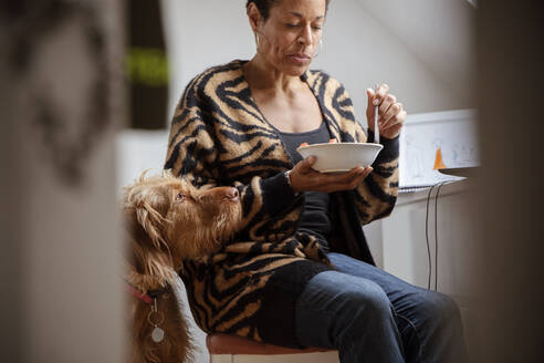 Niedlicher Hund beobachtet Frau beim Essen am Schreibtisch - CAIF32938