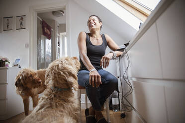 Hunde und glückliche Frau im Heimbüro - CAIF32977