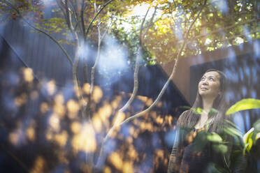 Smiling woman looking up at tree in courtyard - CAIF33215