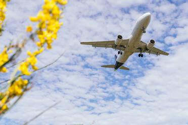 Von unten der modernen Flugzeuge fliegen gegen blauen Himmel mit weißen Wolken in sonnigen Tag mit gelber Blume - ADSF35400