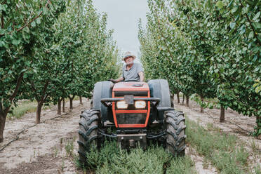 Älterer männlicher Landwirt schaut in die Kamera, während er einen Traktor zwischen Obstbäumen bei der Arbeit im Obstgarten fährt - ADSF35411