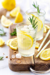 Frische Limonade mit Bio-Zitronen, Rosmarin und Eis in einem Glas - ADSF35462