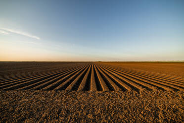 Landwirtschaftliche Flächen unter blauem Himmel bei Sonnenuntergang - NOF00559